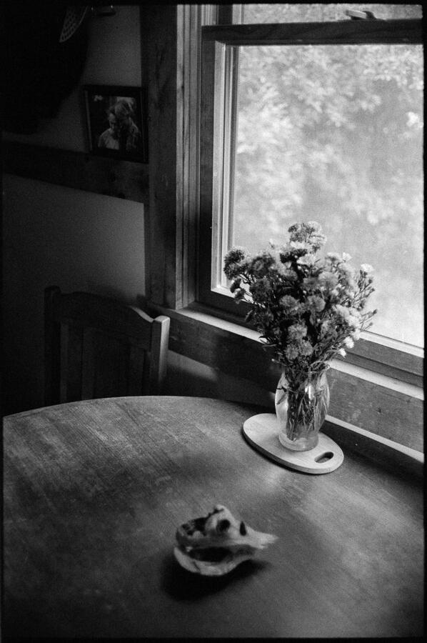 Untitled Untitled