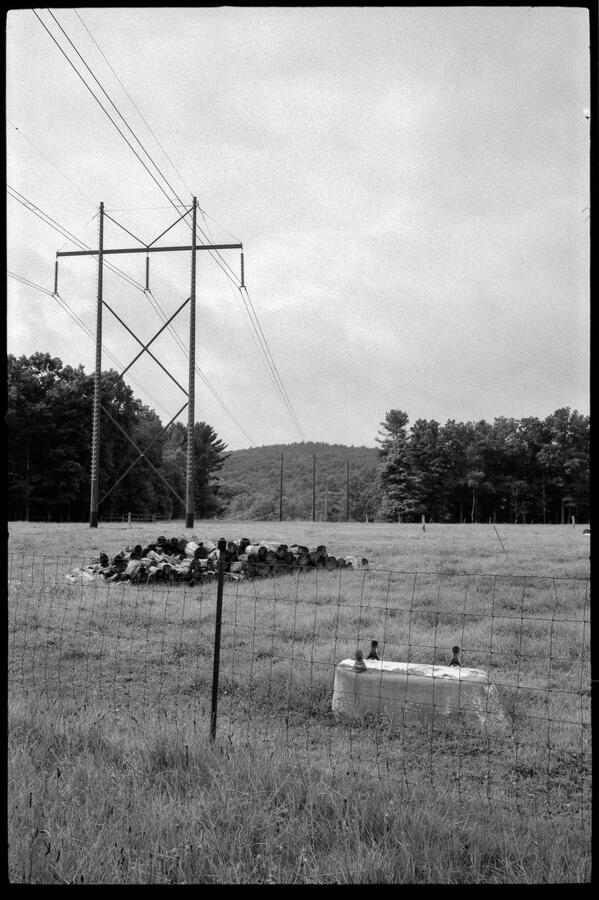 Untitled Untitled